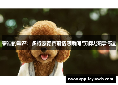 泰迪的遗产:多特蒙德赛前情感瞬间与球队深厚情谊 泰迪的遗产:多特蒙德赛前情感瞬间与球队深厚情谊