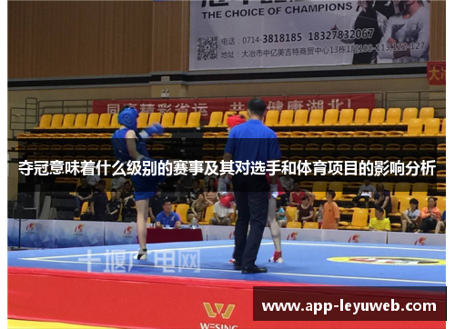 夺冠意味着什么级别的赛事及其对选手和体育项目的影响分析