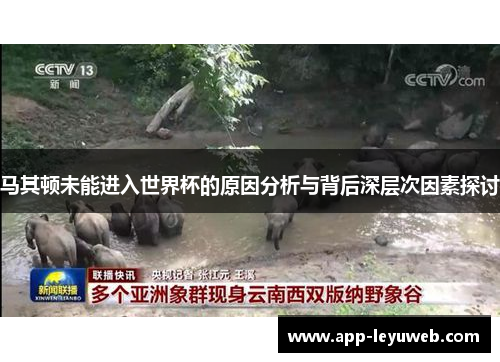 马其顿未能进入世界杯的原因分析与背后深层次因素探讨