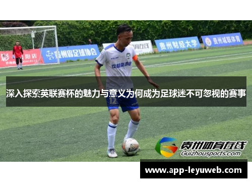 深入探索英联赛杯的魅力与意义为何成为足球迷不可忽视的赛事