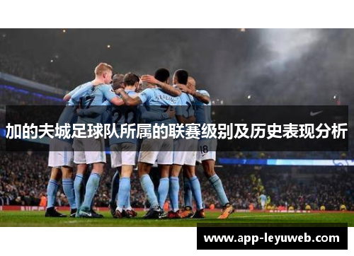 加的夫城足球队所属的联赛级别及历史表现分析